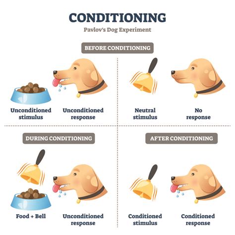 What Did Pavlov Dog Experiment Prove