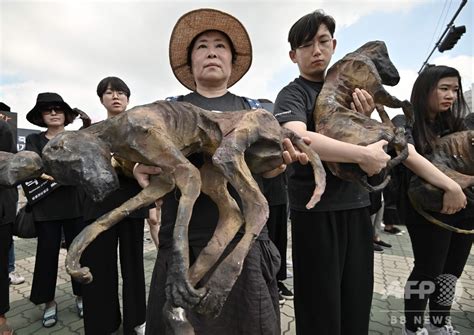 韓国の養犬業者ら、犬肉食べて気勢上げる 動物愛護団体のデモに対抗 写真16枚 国際ニュース：AFPBB News