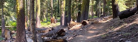 loon Lake Trail and Brown Mountain Trail, California - 20 Reviews, Map ...