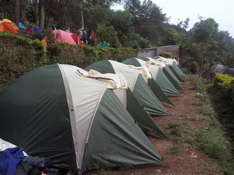 Harga Sewa Tenda Di Gunung Prau Basecamp Patak Banteng - Cuartos