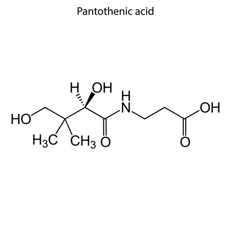 Skeletal formula of molecule. 8099844 Vector Art at Vecteezy