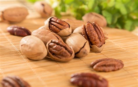 Hickory Nuts Health Benefits & Uses - Joyful Belly School of Ayurveda