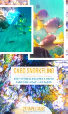 Complete guide to Snorkeling Cabo San Lucas and the Los Cabos area