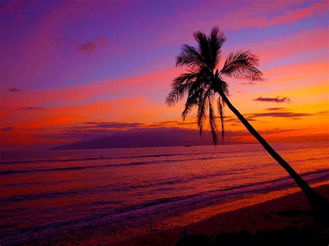 Hawaiian Sunset Wallpaper