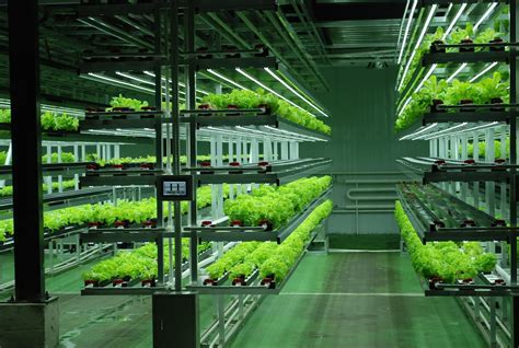 The Hydroponic / Aeroponic / Aquaponic – Vertical Farming Debate ...