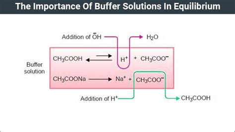 Buffer Solutions In Equilibrium | Types Of Buffer Solution | Chemistry