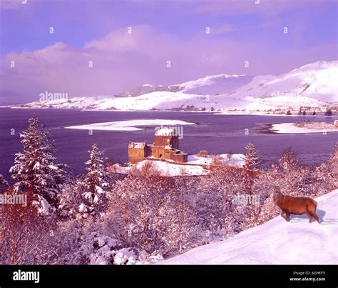 UK Scotland Inverness shire Highland winter Eilean Donan Castle and ...