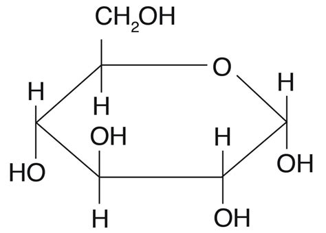 Basic Carbohydrate Chemical Structure