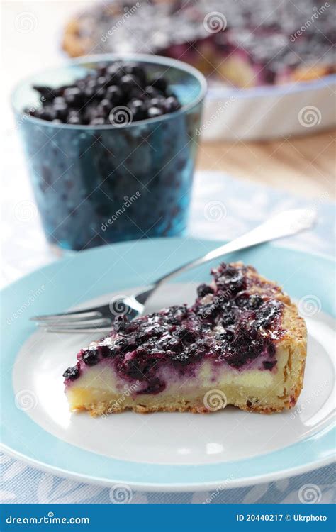 Bilberry pie stock image. Image of baked, vertical, blue - 20440217