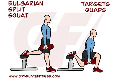 Bulgarian Split Squat Form, Muscles & Benefits - Graduate Fitness