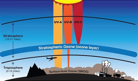 Why Is Ozone Layer Important Techiescientist | techscient