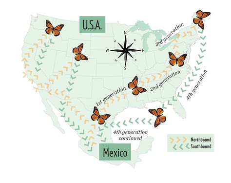 Monarch Butterfly Migration Map 2022