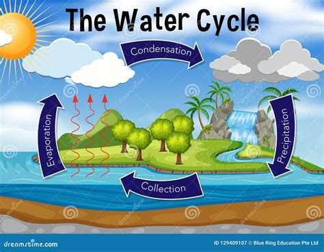 Science of water cycle stock vector. Illustration of drop - 129409107