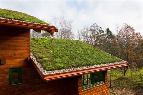 Environmentally Friendly Roofing Options | Sauve Construction