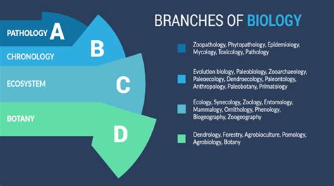 33 Branches of Biology: A Comprehensive Outline - Earth How