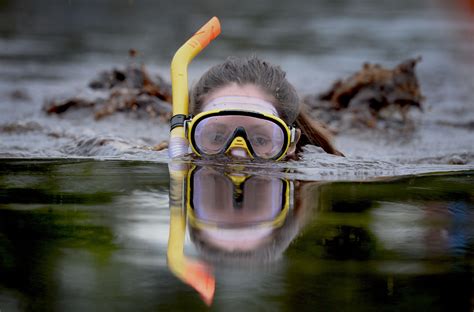 Irish Bog Snorkeling Championships