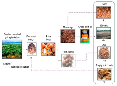 palm oil mill process pdf - Diane Graham