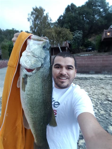 Clearlake, CA / Spinner bait / Personal best : r/Fishing