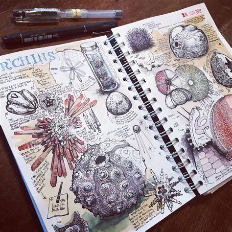 3 mestres que nos ensinam a importância do uso dos Sketchbooks – O BLOG ...