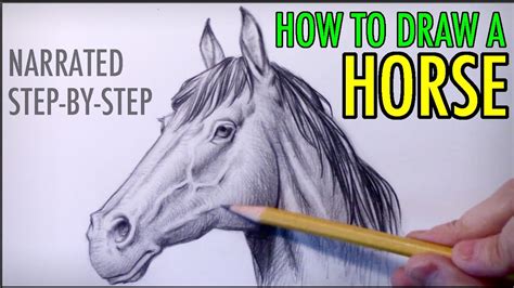 How To Draw A Horse Step By Step Realistic