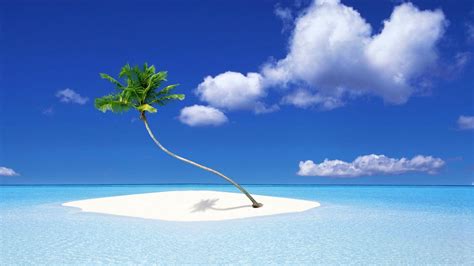 Palm Tree Island Wallpapers - Top Free Palm Tree Island Backgrounds ...