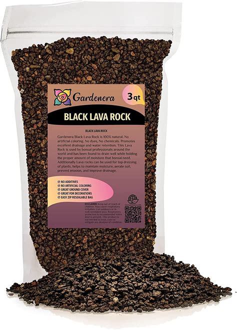 GARDENERA Black Lava Rock for Plants, Premium Sifted Bonsai and Cactus ...