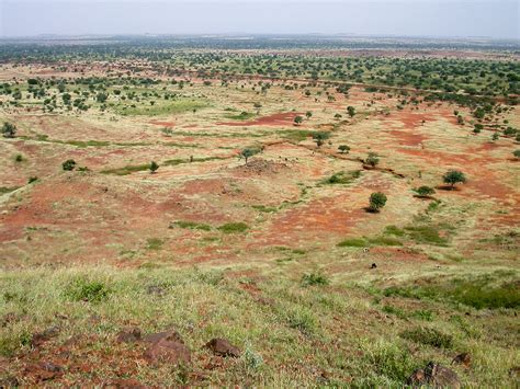 Sahel Landscape