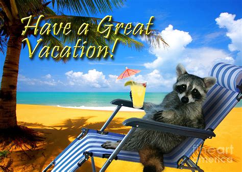 Have a Great Vacation Raccoon Photograph by Jeanette K | Pixels