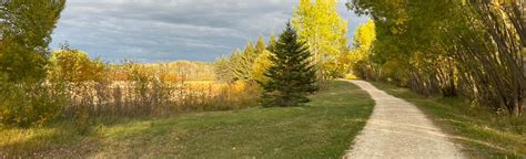 Birds Hill Park Beach Loop, 62 Photos - Manitoba, Canada | AllTrails