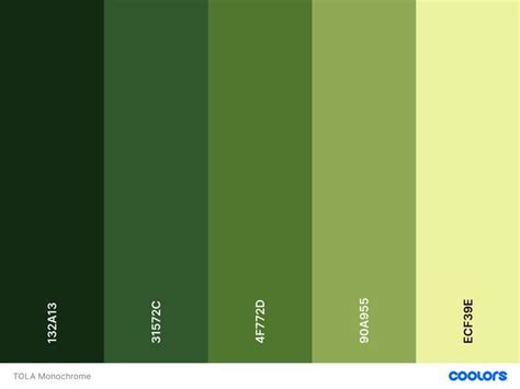 Green Monochrome Coolors | Green monochrome, Color palette, Monochrome ...