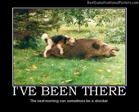 I've Been There - Demotivational Poster