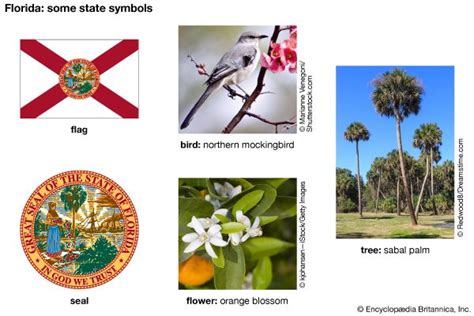 Florida state symbols - Kids | Britannica Kids | Homework Help