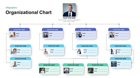 20+ Sample Organizational Chart Template - SampleTemplatess ...