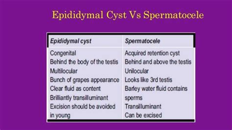 Scrotal swellings 3- Epididymal cyst