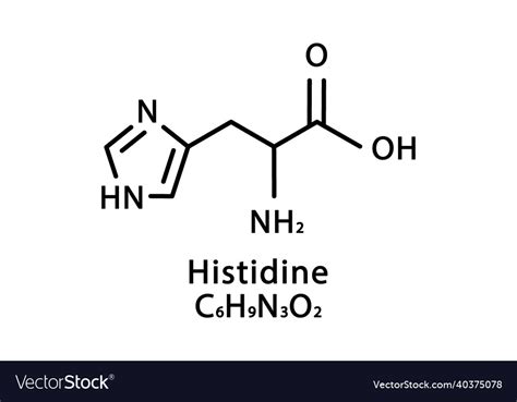 Histidine molecular structure skeletal Royalty Free Vector