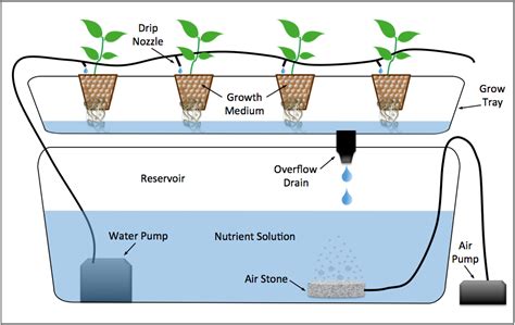 Diagram of a drip system hydroponic setup | Hydroponics system ...