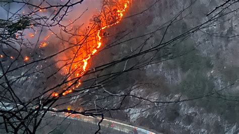 WNC Wildfires: Black Bear Fire now 42% contained, grows to 1,740 acres