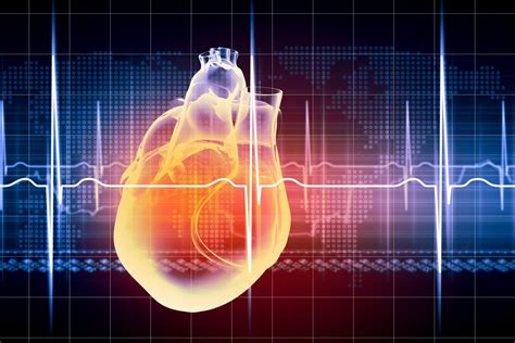 Heart Rhythm Diagnosis and Treatment - Clearwater Cardiovascular ...