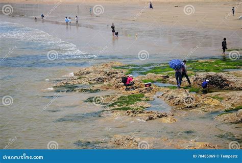 Qingdao China Beach editorial stock image. Image of beaches - 78485069