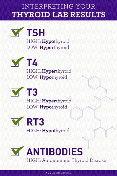 Optimal Thyroid Levels: Decoding Test Results | Amy Myers MD