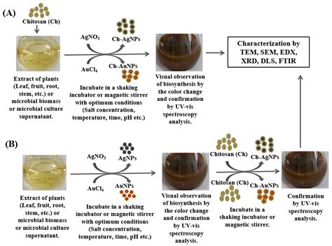 Polymers | Free Full-Text | Chitosan-Coated Polymeric Silver and Gold ...