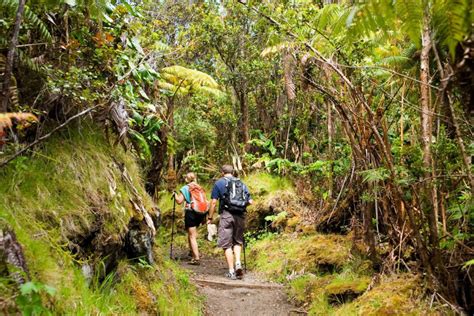 A year after a volcano erupted, this popular hiking trail in Hawai’i ...