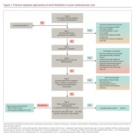 Afib With Rvr Treatment