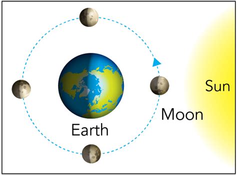 The Earth Moon System - Let's Talk Science