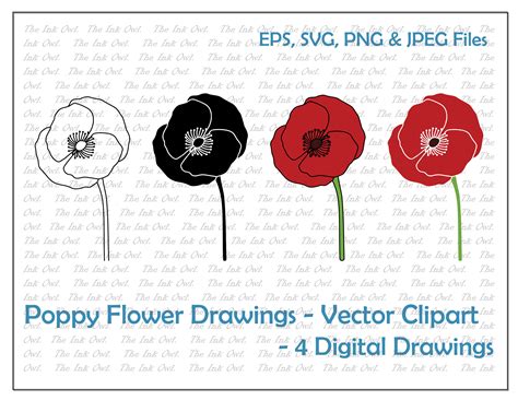 Red Poppy Flower Drawing