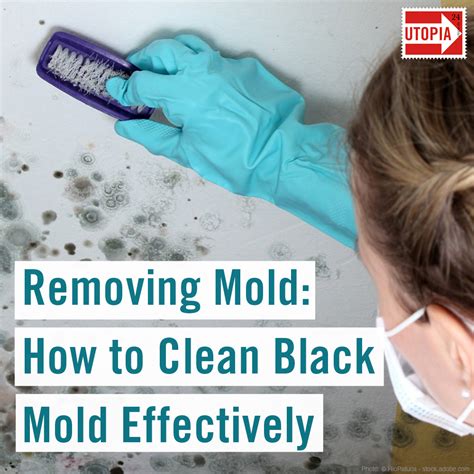 Removing Mold: How to Clean Black Mold Effectively - Utopia