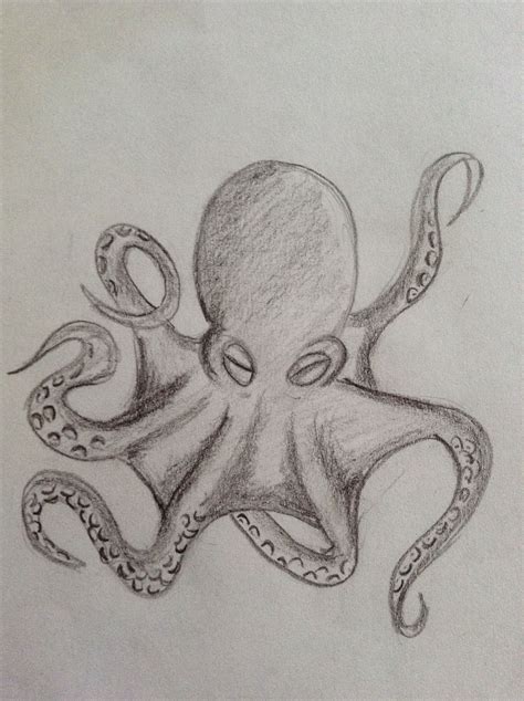 Pulpo a lápiz | Pulpos dibujo, Dibujo de pulpo, Calamar dibujo