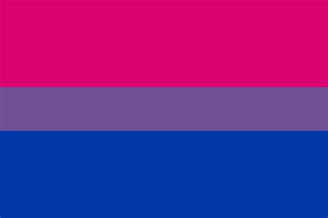 Bi Pride Flag Wallpapers - Top Free Bi Pride Flag Backgrounds ...