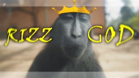 MONKEY RIZZ 4K 🐒👑 - YouTube