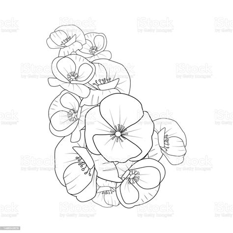 Poppy Tattoo Outline Minimalist Simple Poppy Tattoo Stock Illustration ...